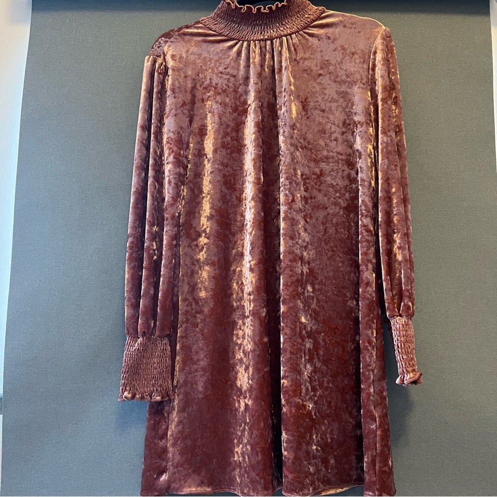 Sweet velvety stretchy dress from Nordstrom